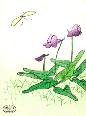 PDXC5541  -- Japanese Watercolors