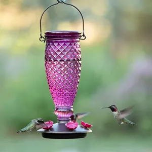 Perky-Pet Diamond Wine Glass Hummingbird Feeder - 24oz