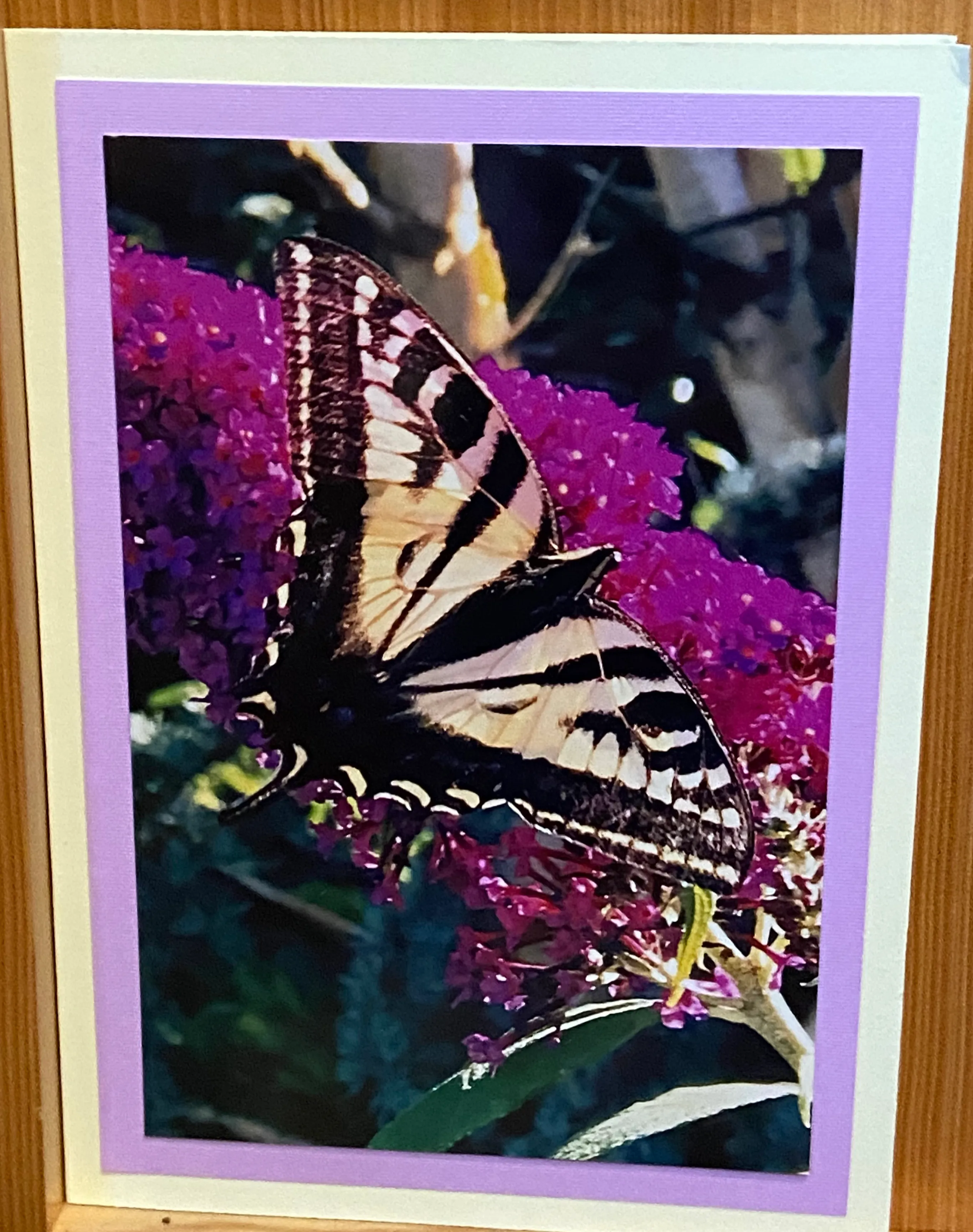 Photo Cards