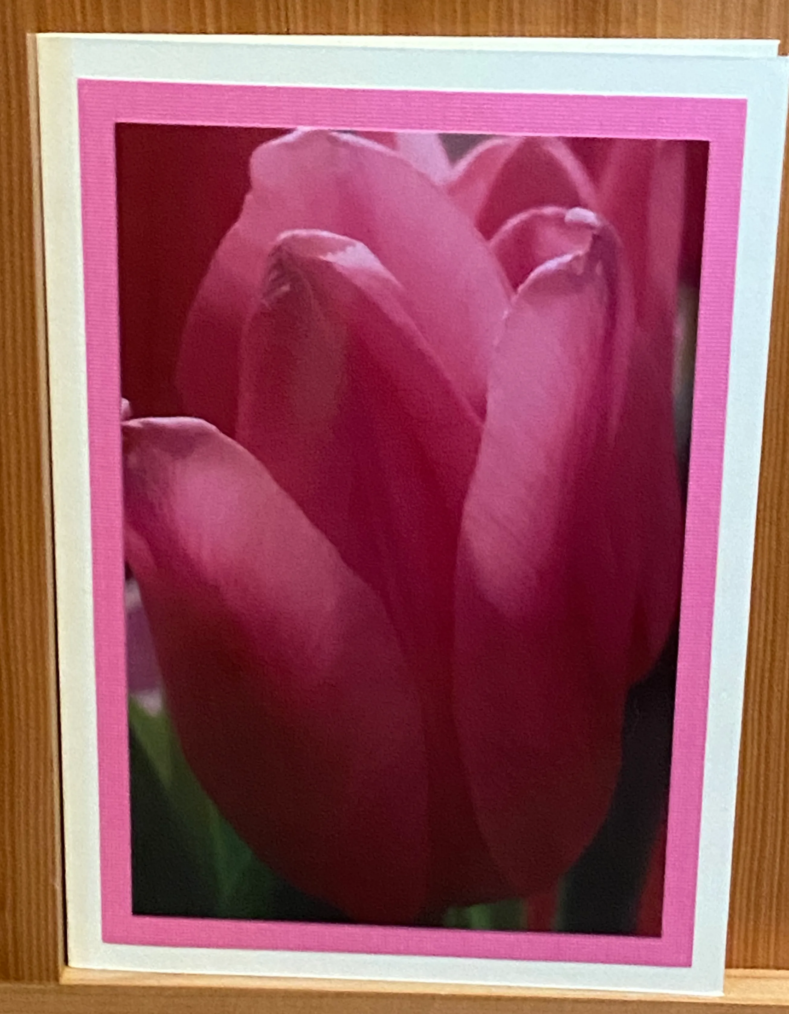 Photo Cards