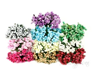Pip Berry Stems 1 inch