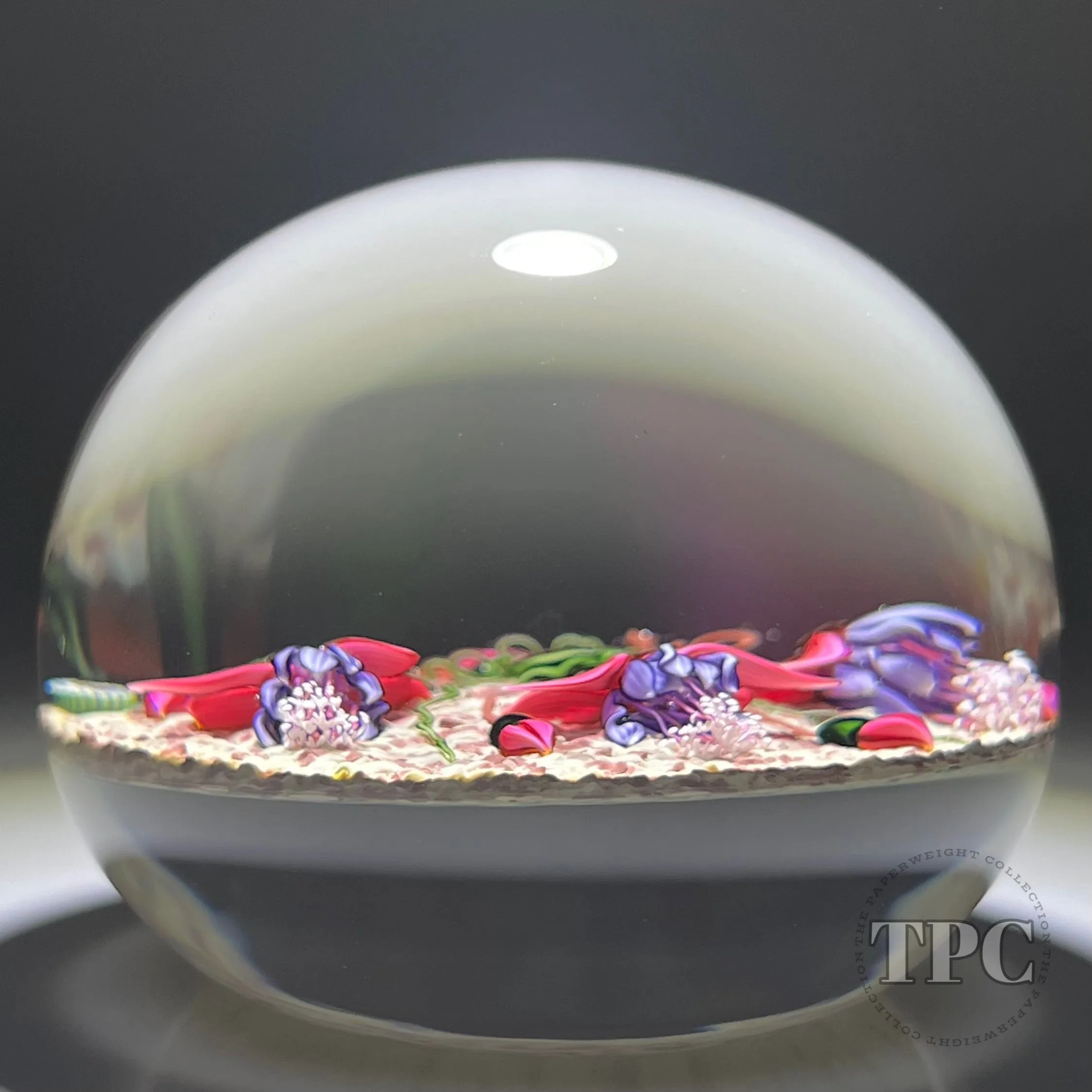 Richard Loesel Glass Art Paperweight Flamework Pink & Purple Fuchsia on Jasper Ground