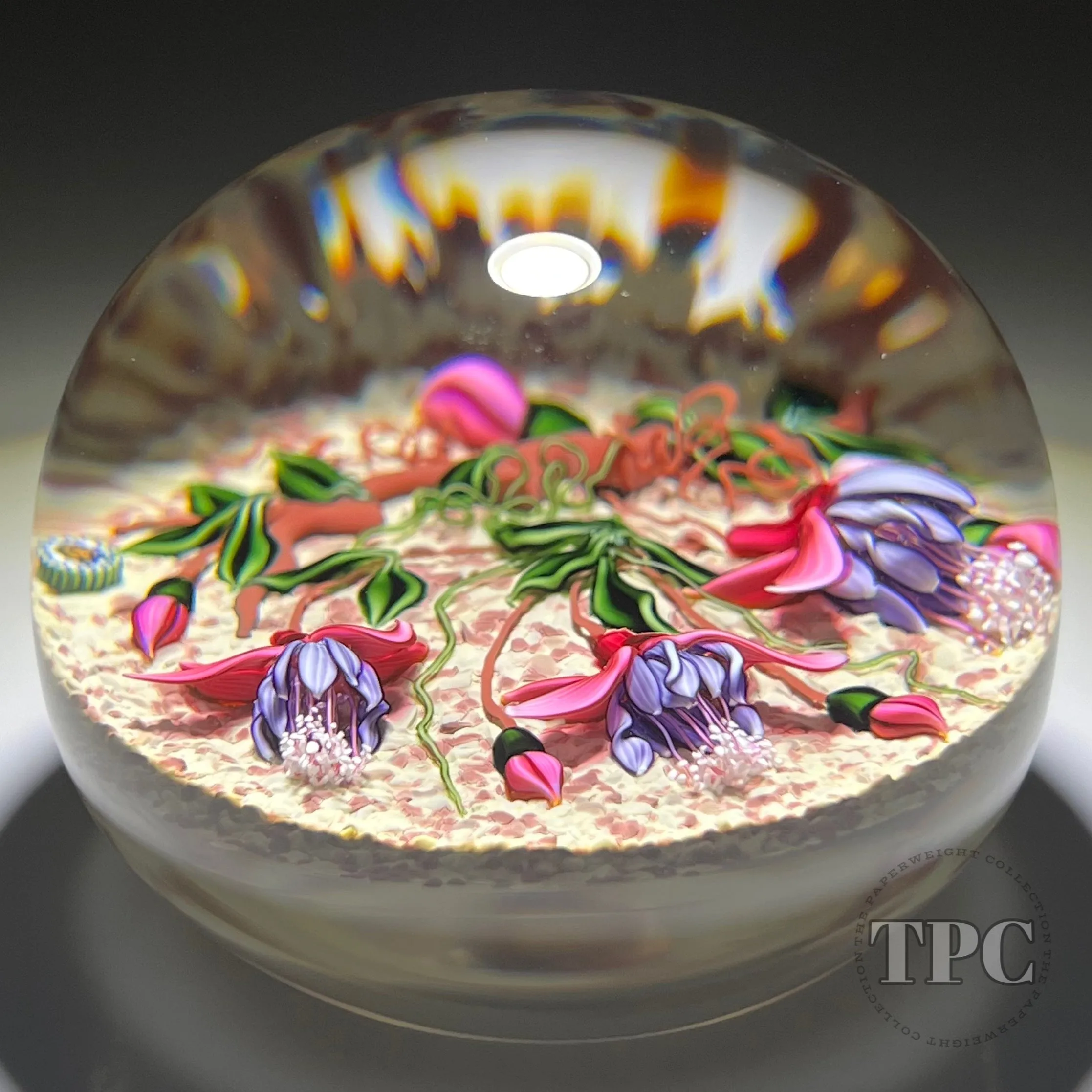 Richard Loesel Glass Art Paperweight Flamework Pink & Purple Fuchsia on Jasper Ground