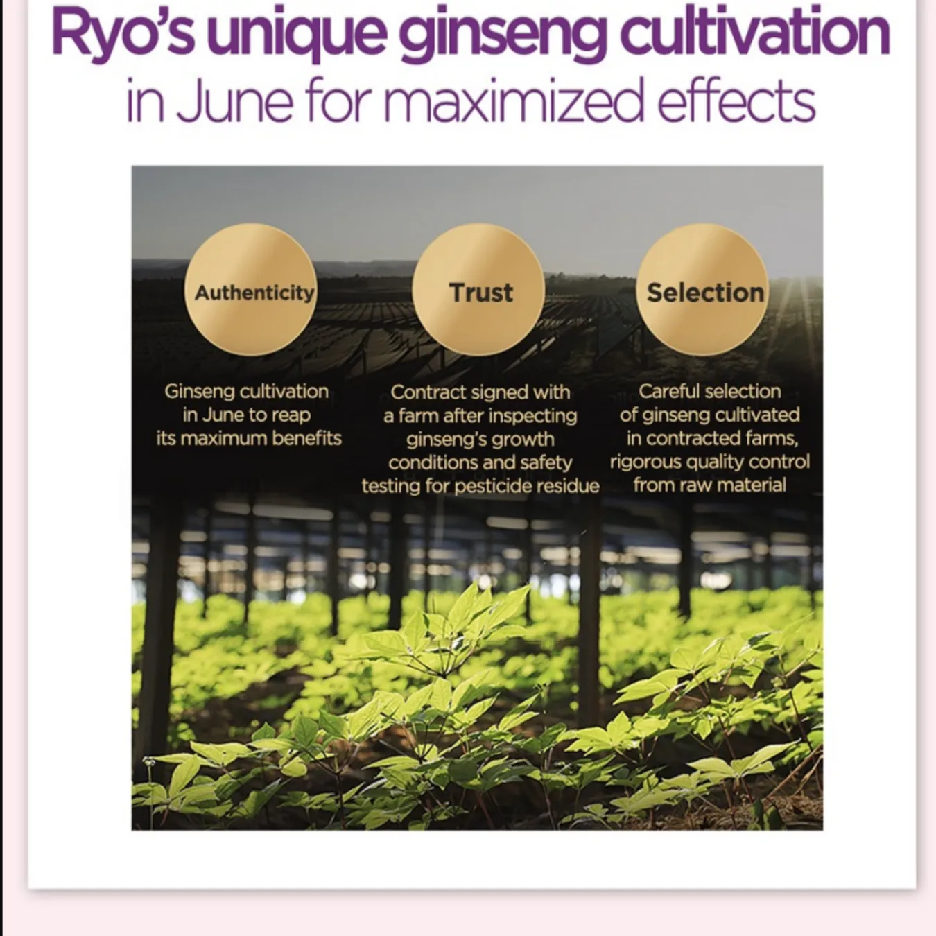 RYO Hair Loss Care Root Strength Treatment, 330ml/ 11.16fl.oz