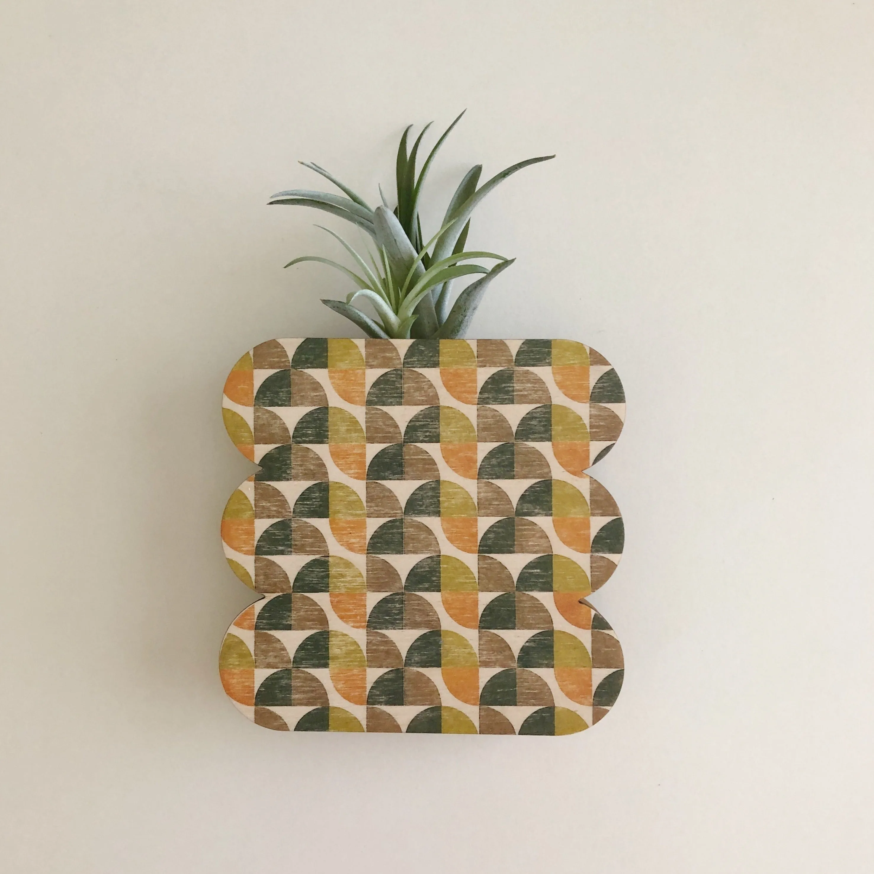 Scallop Geometric Wall   Tabletop Vase Planter
