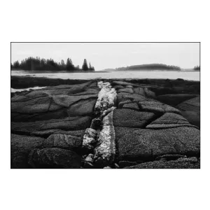 Stony Shore