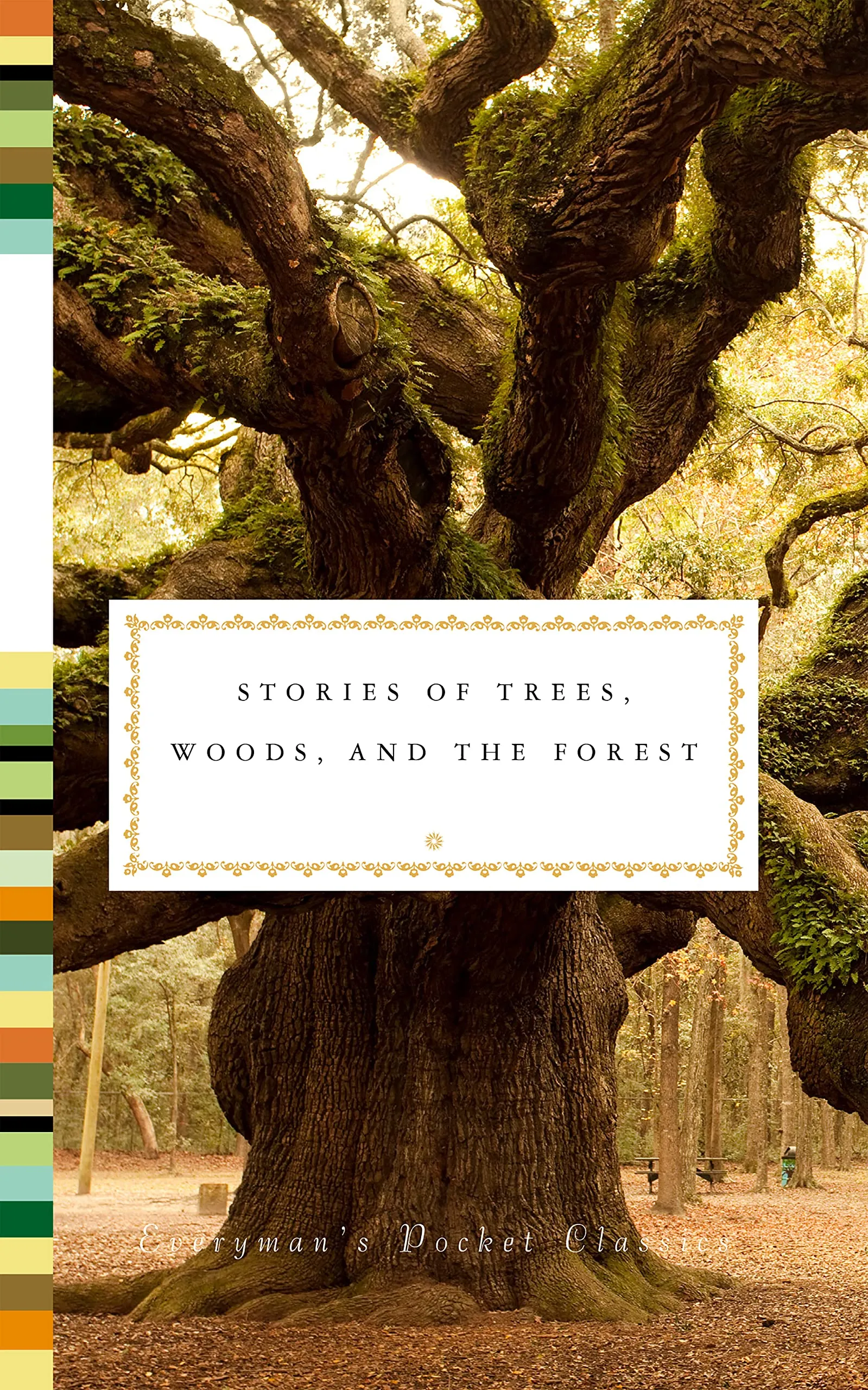Stories of Trees, Woods, and Forests