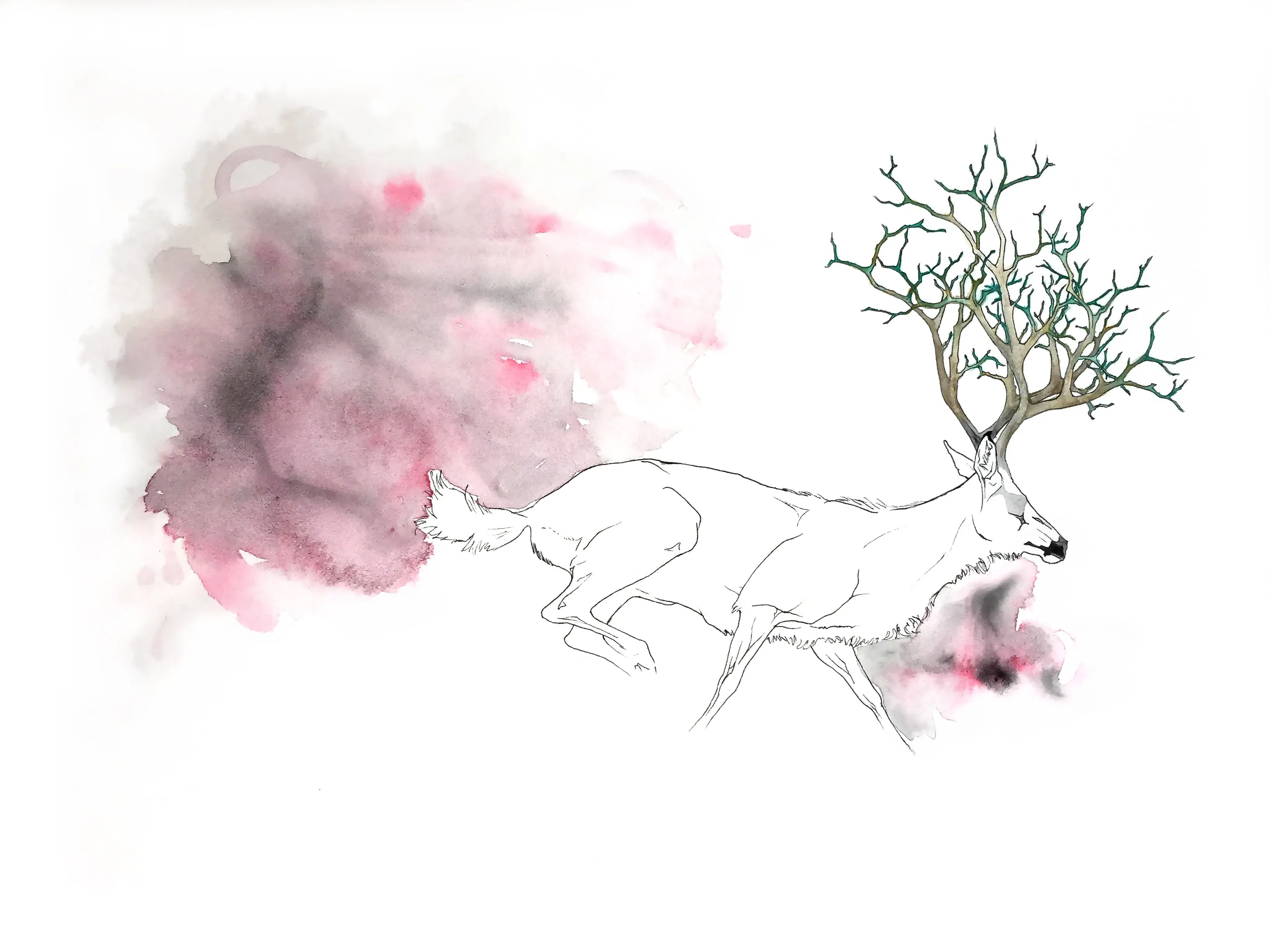 The Ground Upon Which We Stand: Melanie Cates-Forest fire
