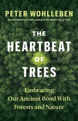 The Heartbeat of Trees: Embracing Our Ancient Bond with Forests and Nature