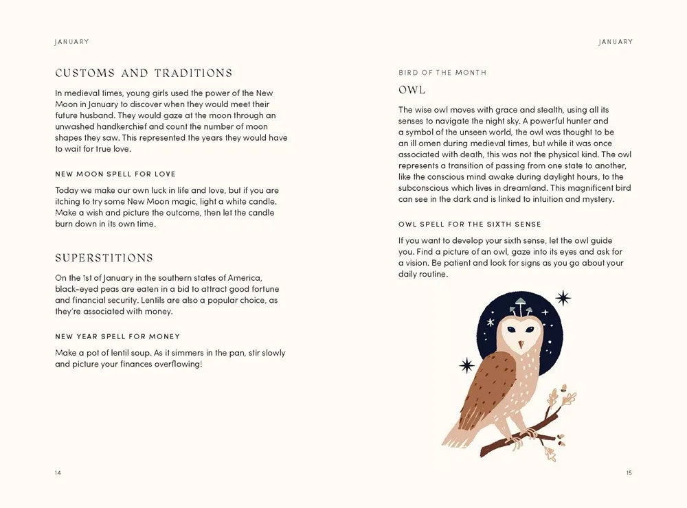 The Mystical Year