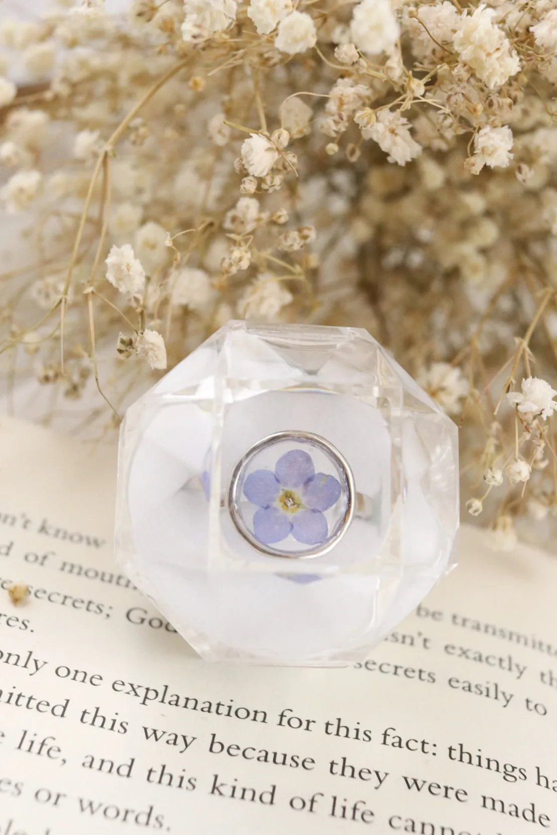 The Silver Mya