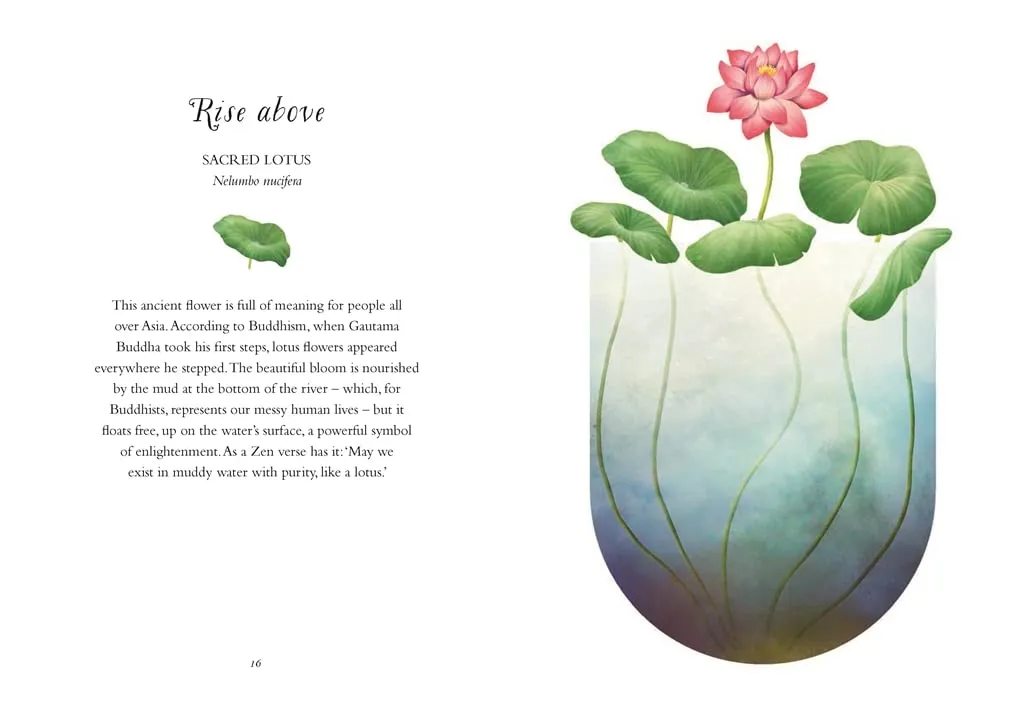 The Wisdom of Flowers: Essential Life Lessons for Joy and Wellbeing