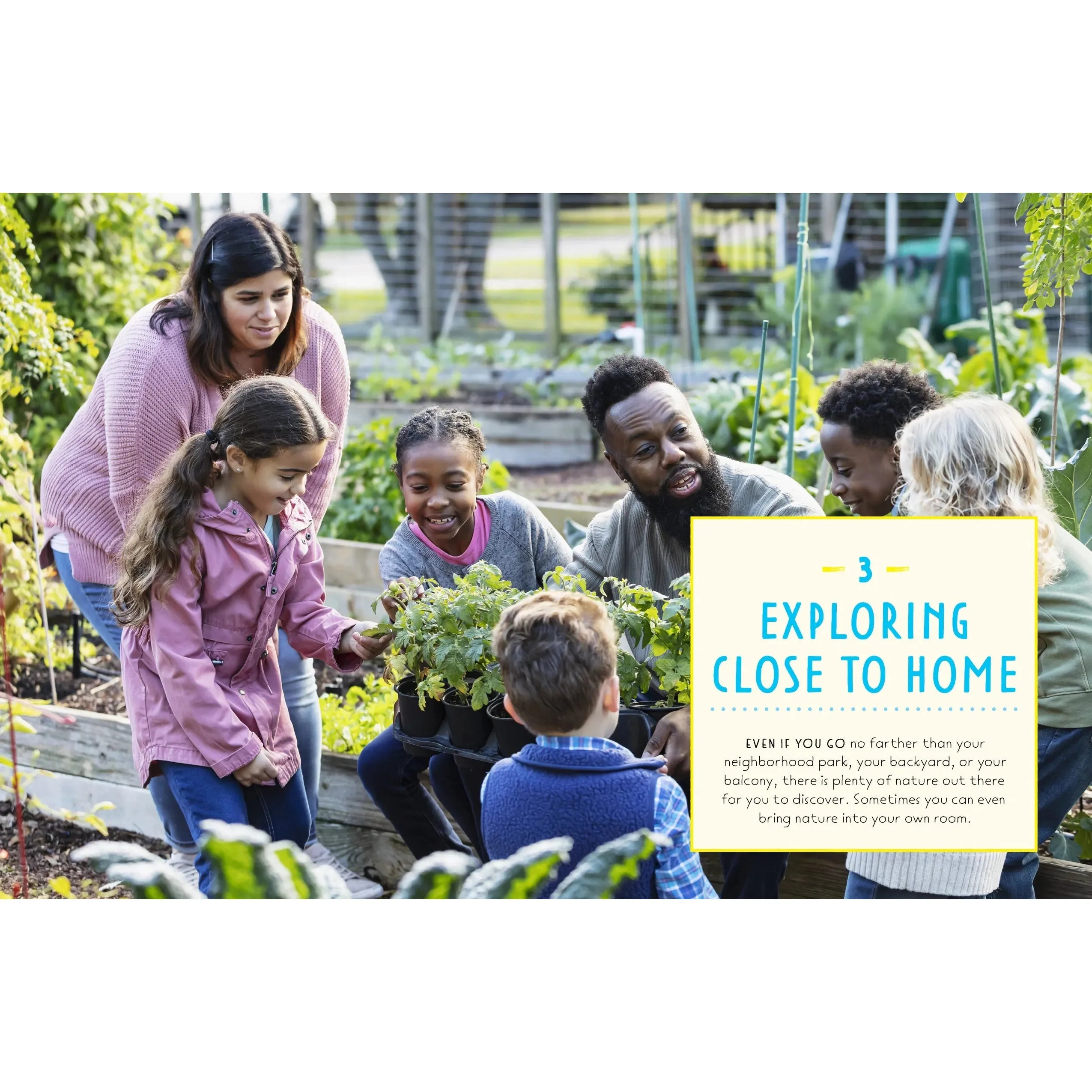 What's Wild Outside Your Door? Discovering Nature in the City