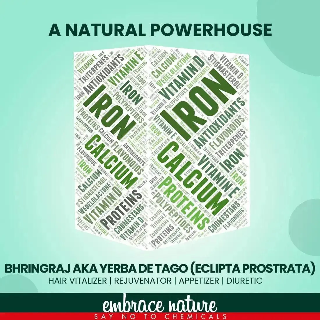 Wholesale | B2B | Bulk Order - Nature Sure Bhringraj Powder 60 Units (200g with Rose Water 50ml Each)