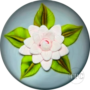William Manson 2023 Art Glass Paperweight Flamework Pink Clematis on Pale Blue Ground
